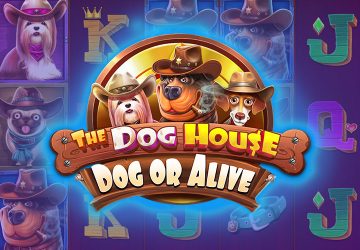 Playtech - игровой автомат онлайн от Various с RTP 96.66%